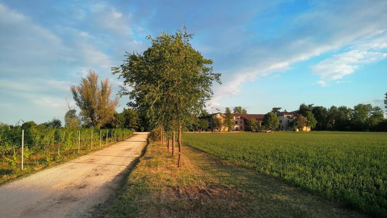 Agriturismo Alle Albare Montorio Veronese Bagian luar foto