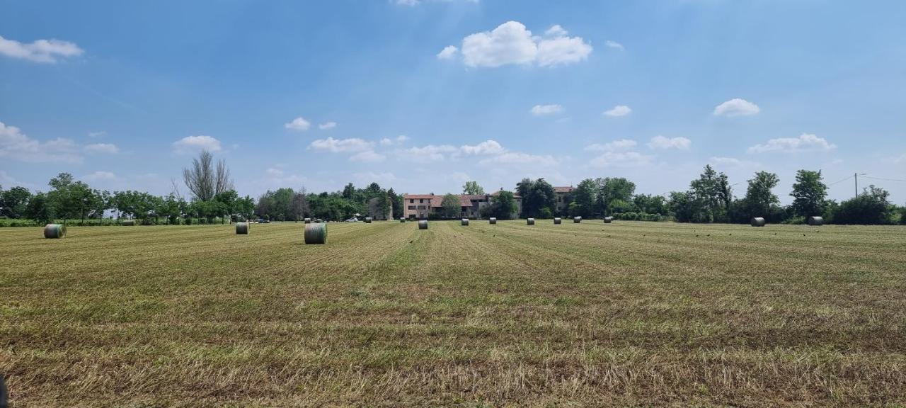 Agriturismo Alle Albare Montorio Veronese Bagian luar foto